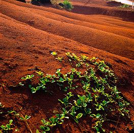 又有7款EA游戏宣布停运 2025年1月关闭服务